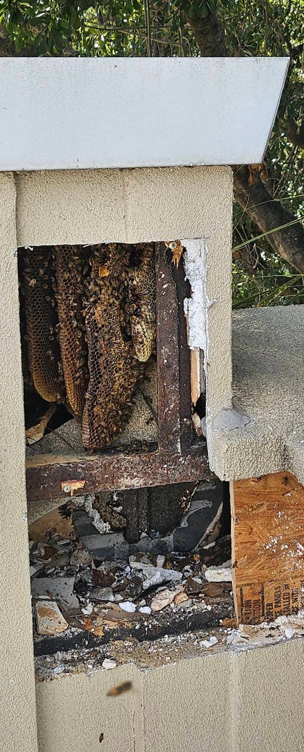 Bee removal carousel