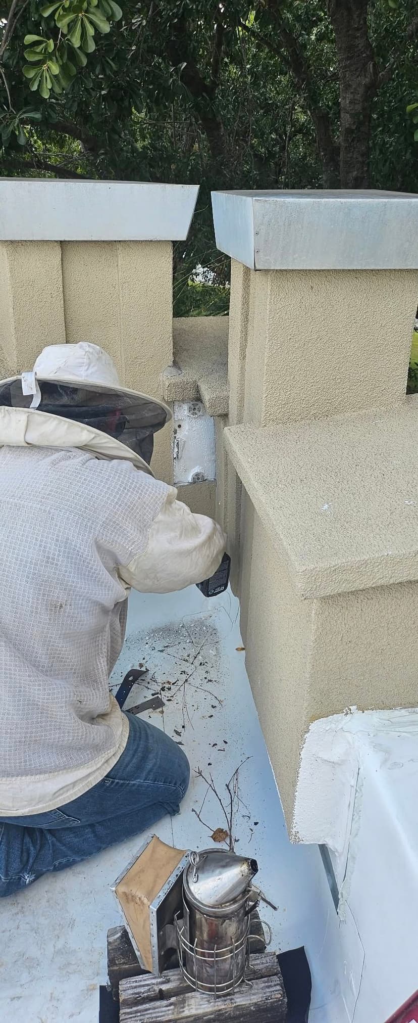 Bee removal carousel