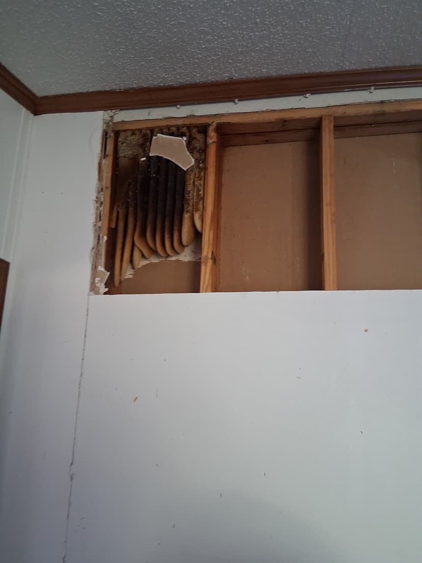 Bee removal carousel