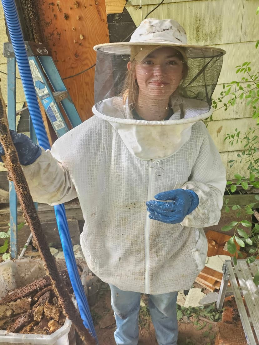 Bee removal carousel